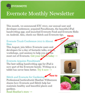 evernore newsletter, email marketing